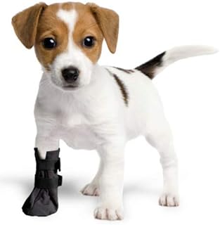 Best waterproof cast cover for dog