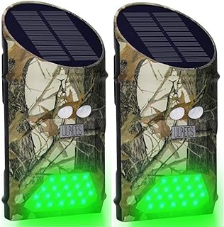 Best green hunting light for feeder