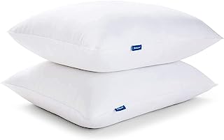 Best langria pillows