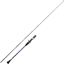 Best jigging rods