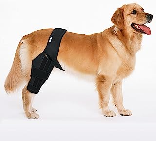 Best acl knee brace for dogs rear leg