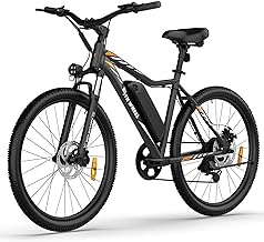 Best electric bikes for adults 1000 watt