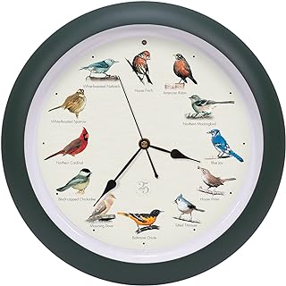 Best wall clock with birds