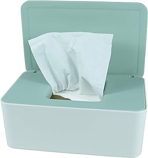Best decorative box for wipes