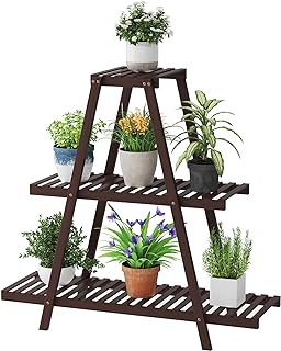 Best ladder stand for plants