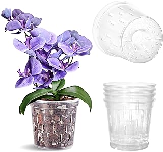 Best plastic pot for orchids