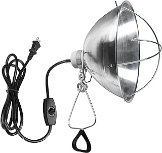 Best lamp holder for 250 watt bulb