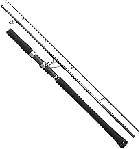 Best shimano saltwater fishing rods