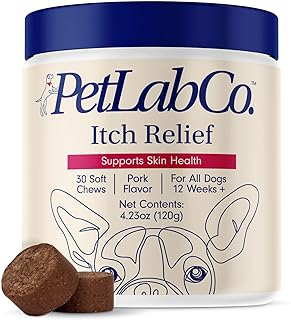 Best itch relief chews for dogs