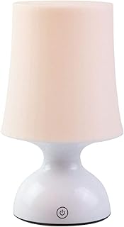 Best battery powered lamp for classroom