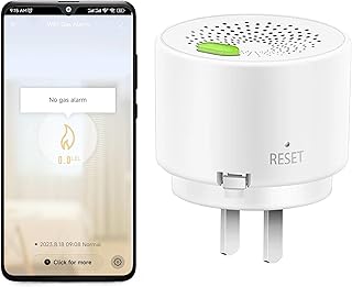 Best smart gas detectors