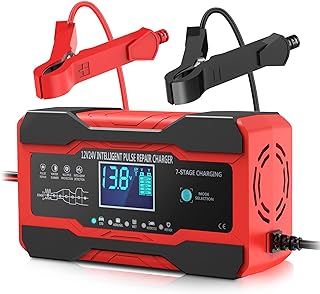 Best battery desulfators