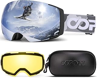 Best snowboard goggles with magnet lenses