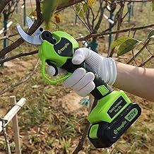 Best electric prunings