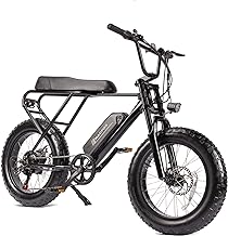 Best carbon fiber electric bike