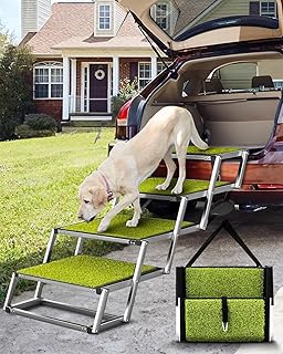 Best step ramp for dogs