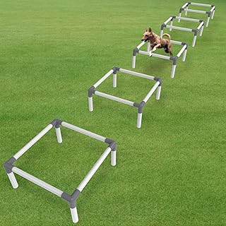 Best agility ladder for dogs