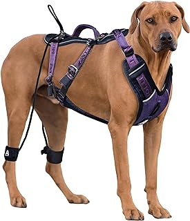 Best anti jump dog harness